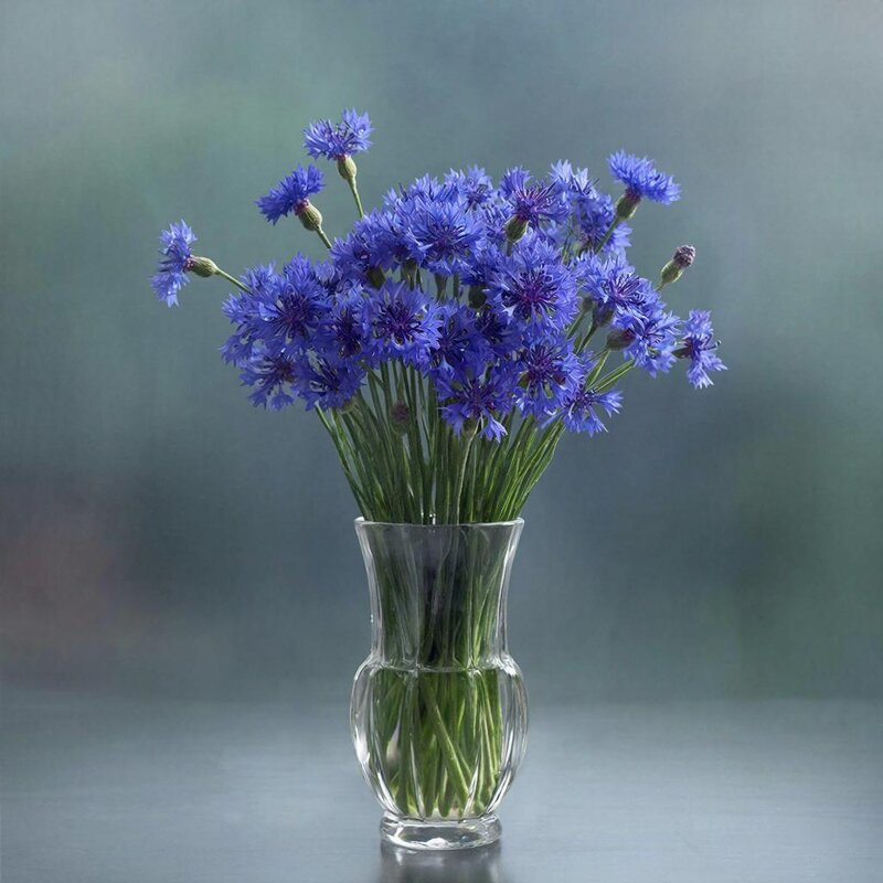 БУКЕТ - МАРИЯ ПОПОВА