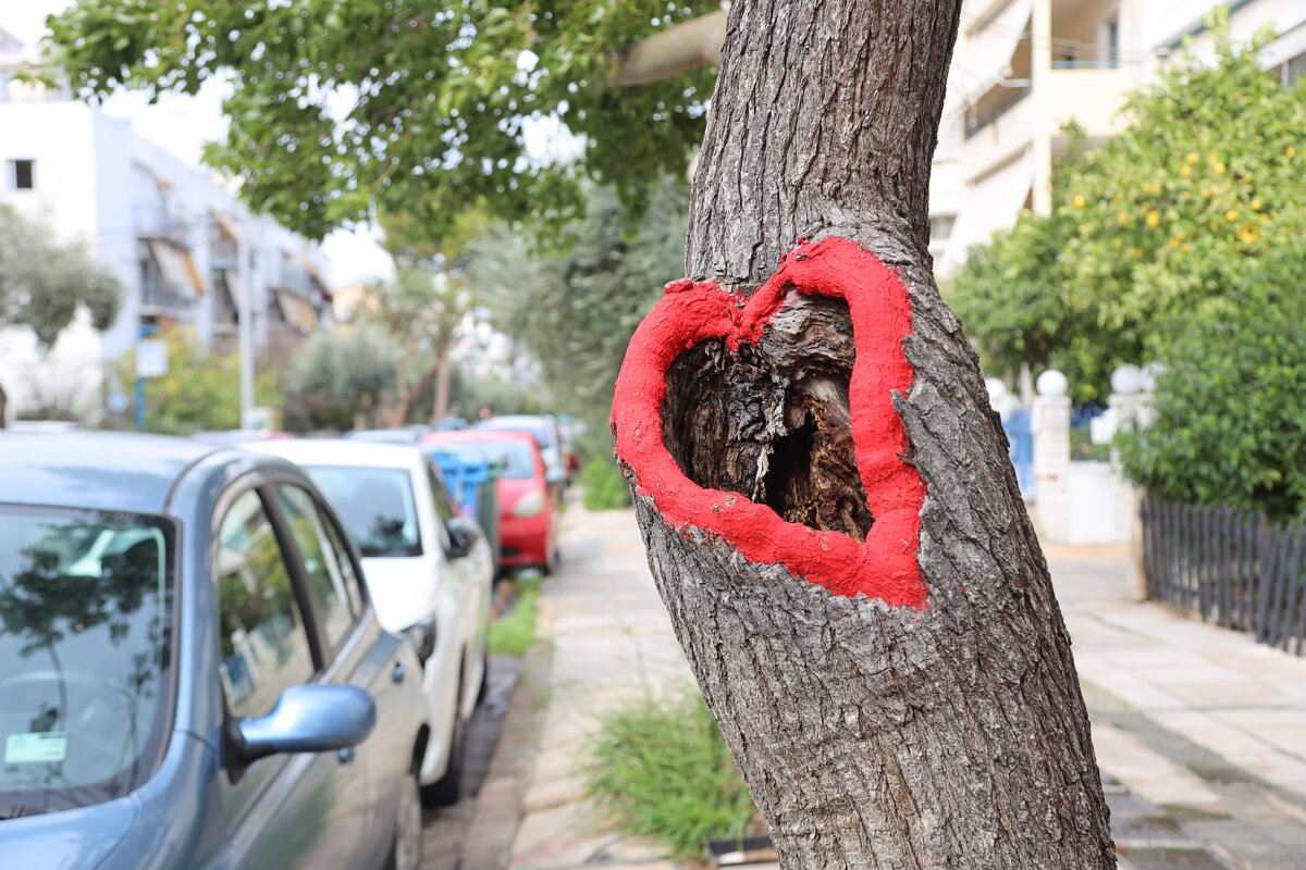 Сердечко. - Оля Богданович
