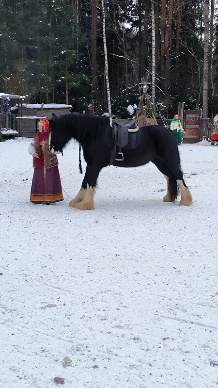 Алена и Шахти. - Ольга 