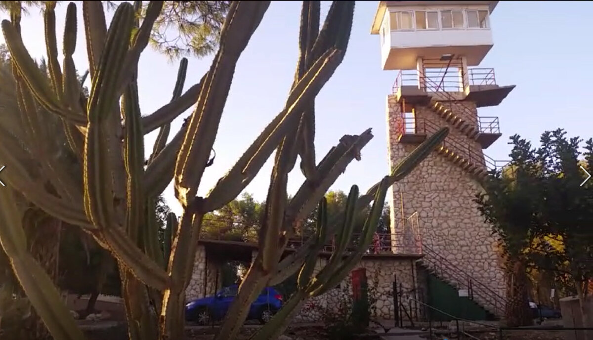 115 (134) - CLOSE WAYS ALL