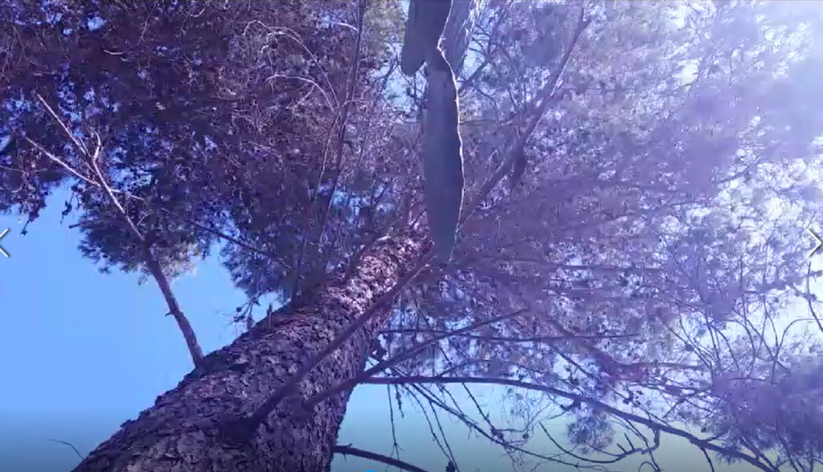 115 (138) - CLOSE WAYS ALL