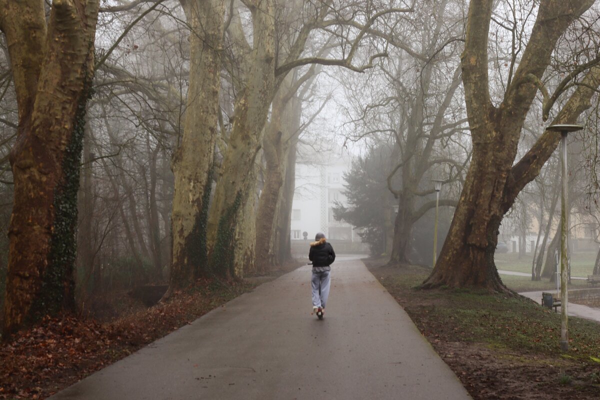 Домой - Юрий. Шмаков