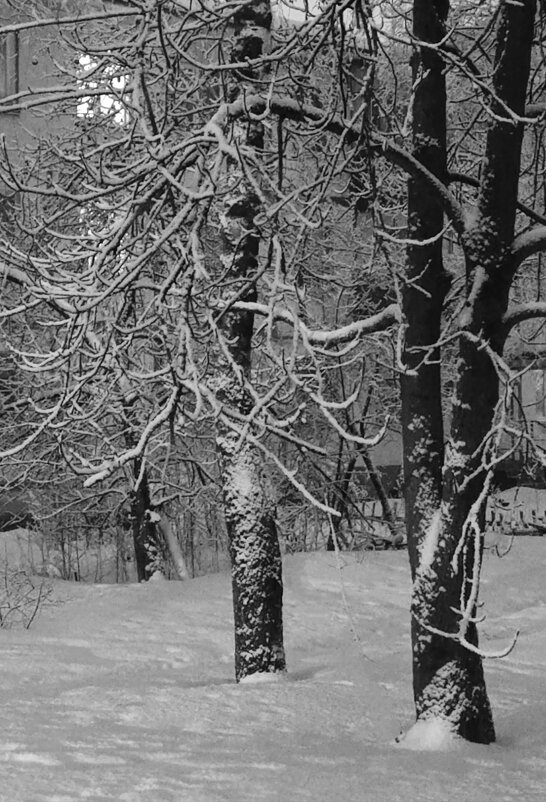 *** - Елена Агеева