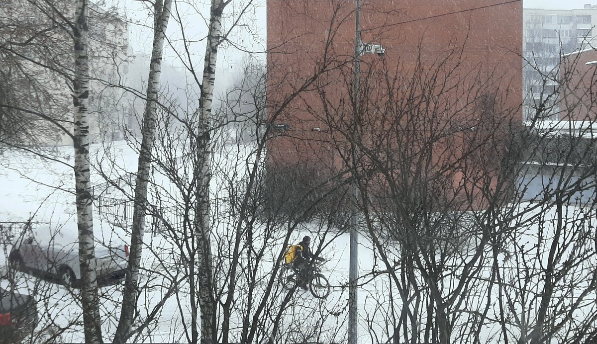 За окном - февраль... - Наталья Герасимова