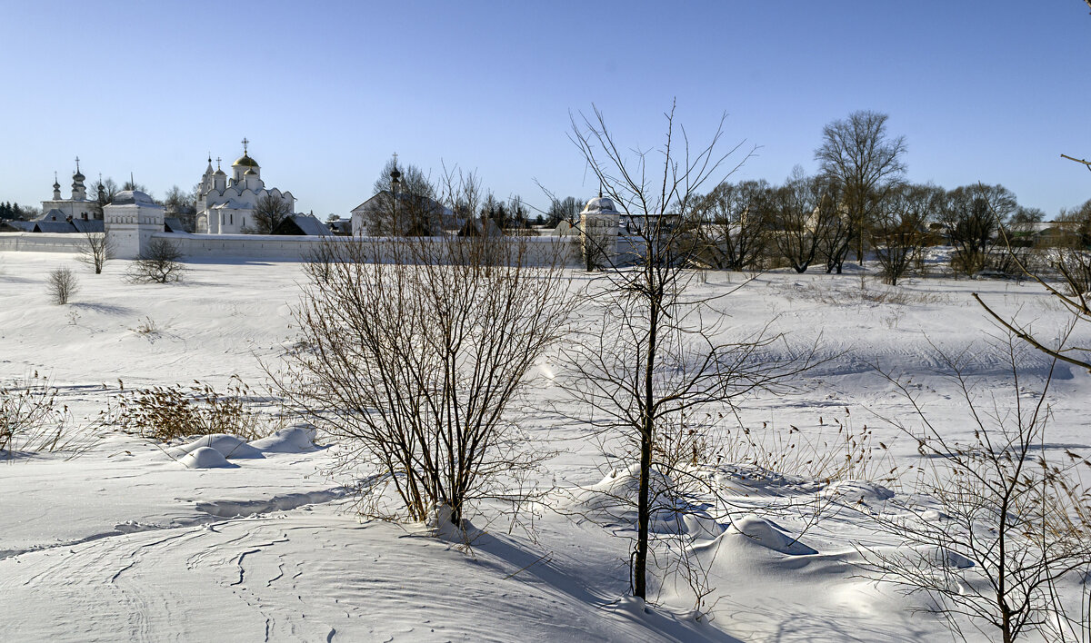 Монастырь на берегу Каменки - Сергей Цветков