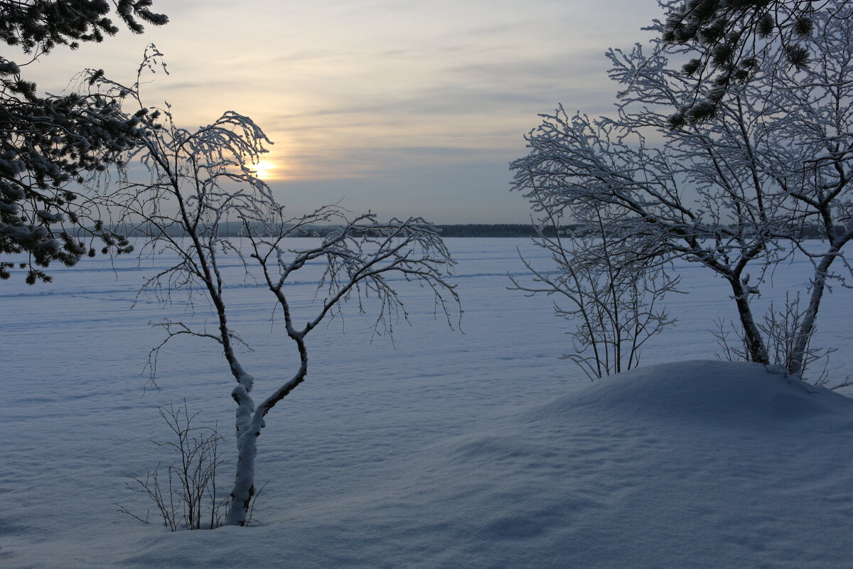Пинозеро - Ольга 