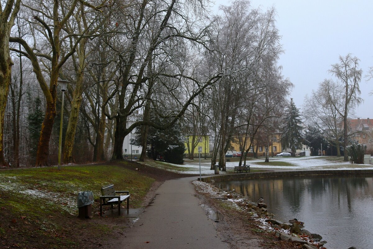 Февраль - Юрий. Шмаков