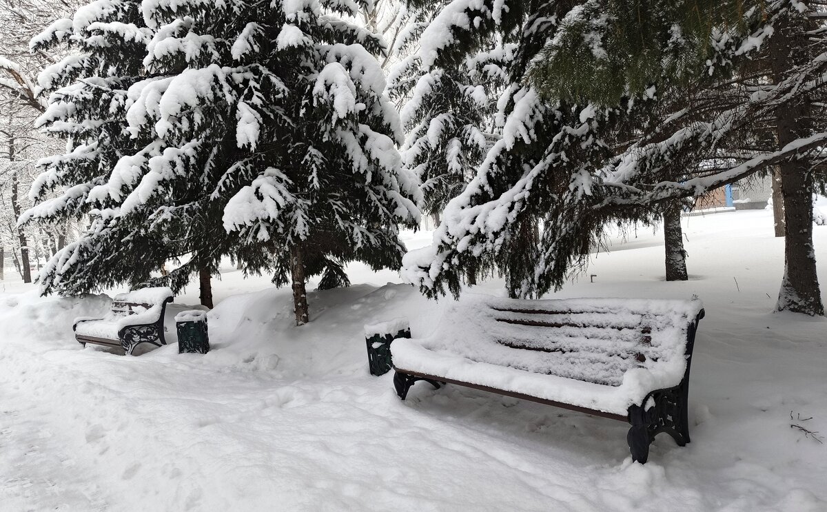 Под   снежным покрывалом . Парк. - Мила Бовкун