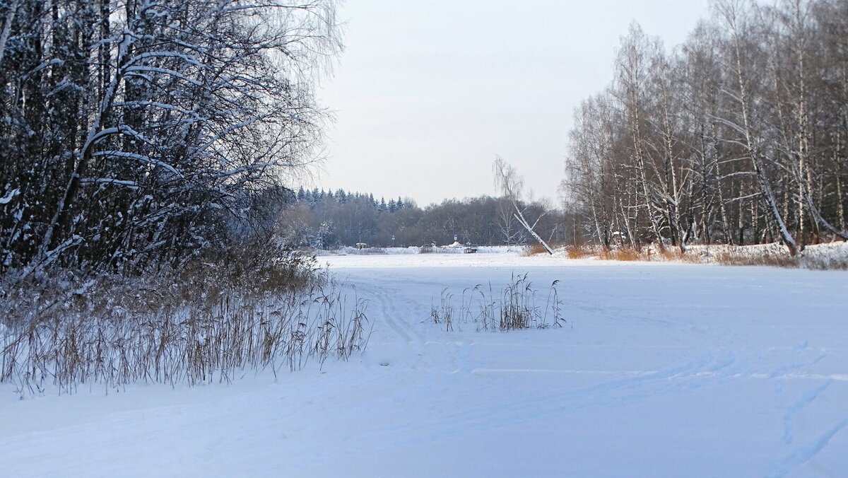 Природа в январе. - Милешкин Владимир Алексеевич Природа в январе. - Милешкин Владимир Алексеевич
