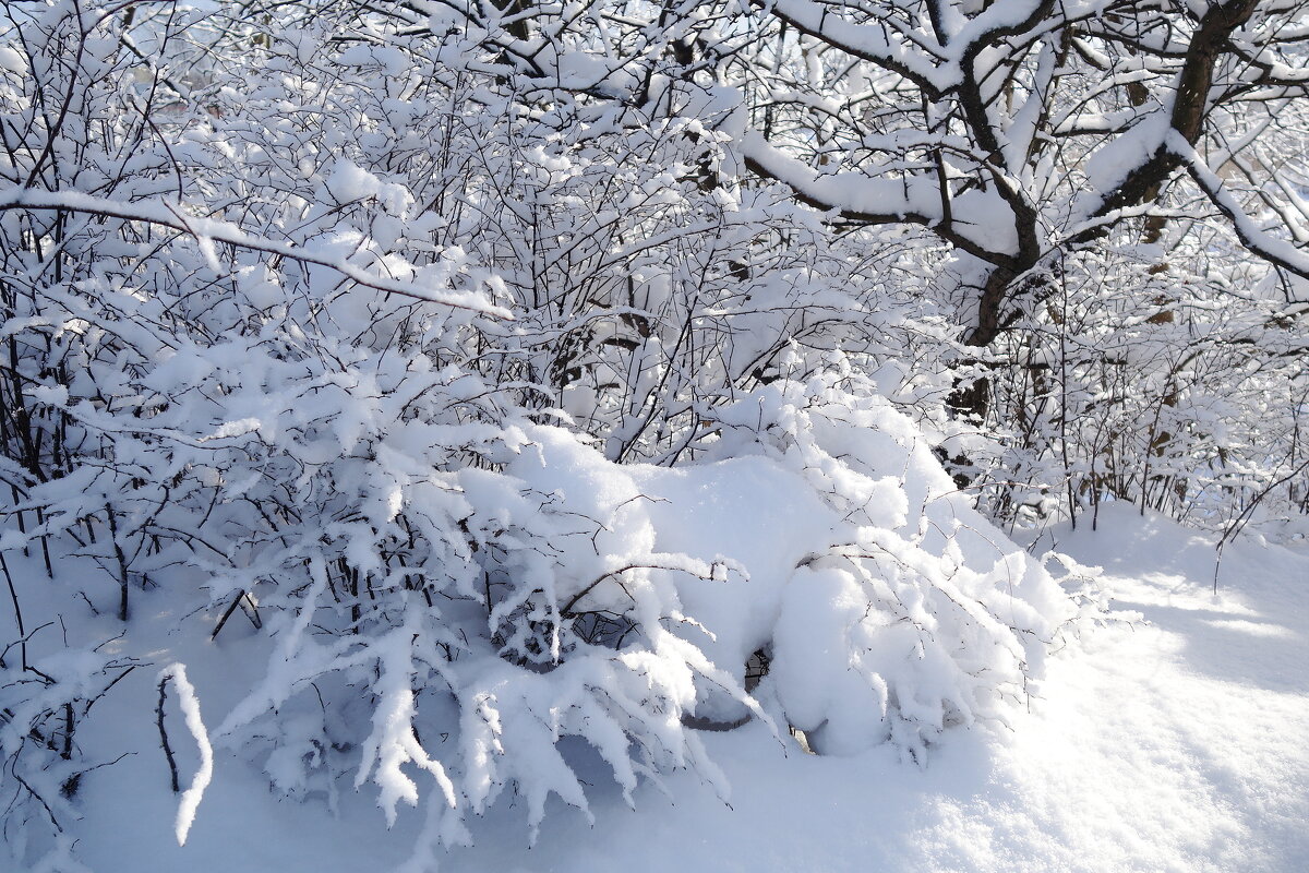 Снег, снежок... - Рита Симонова