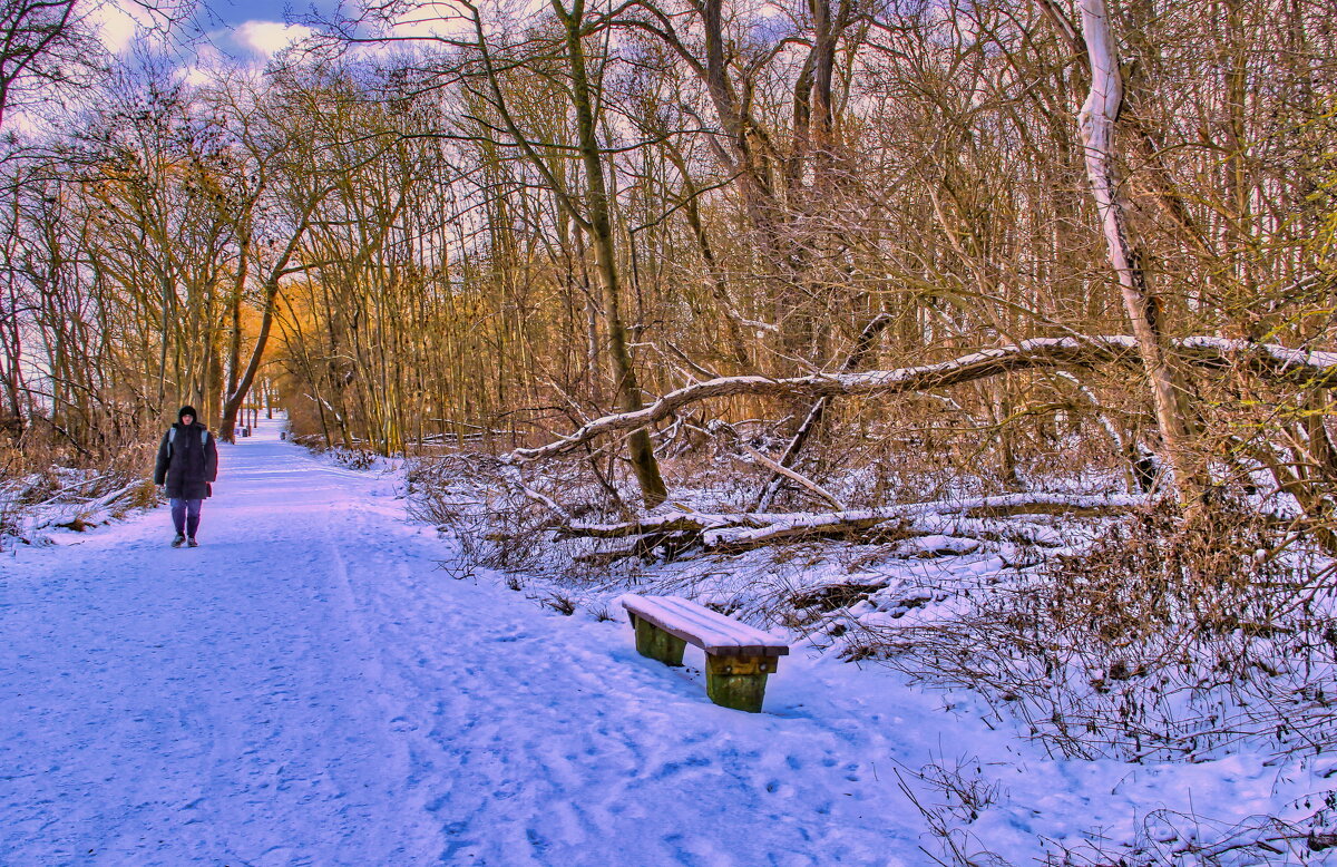 Прогулки в зимнем парке - Андрей K.