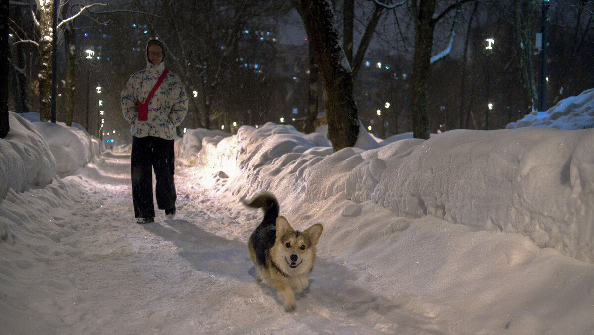 Прогулки в Зимнем Парке - юрий поляков