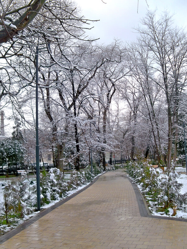 Зимний бульваре Ленина - Валентин Семчишин