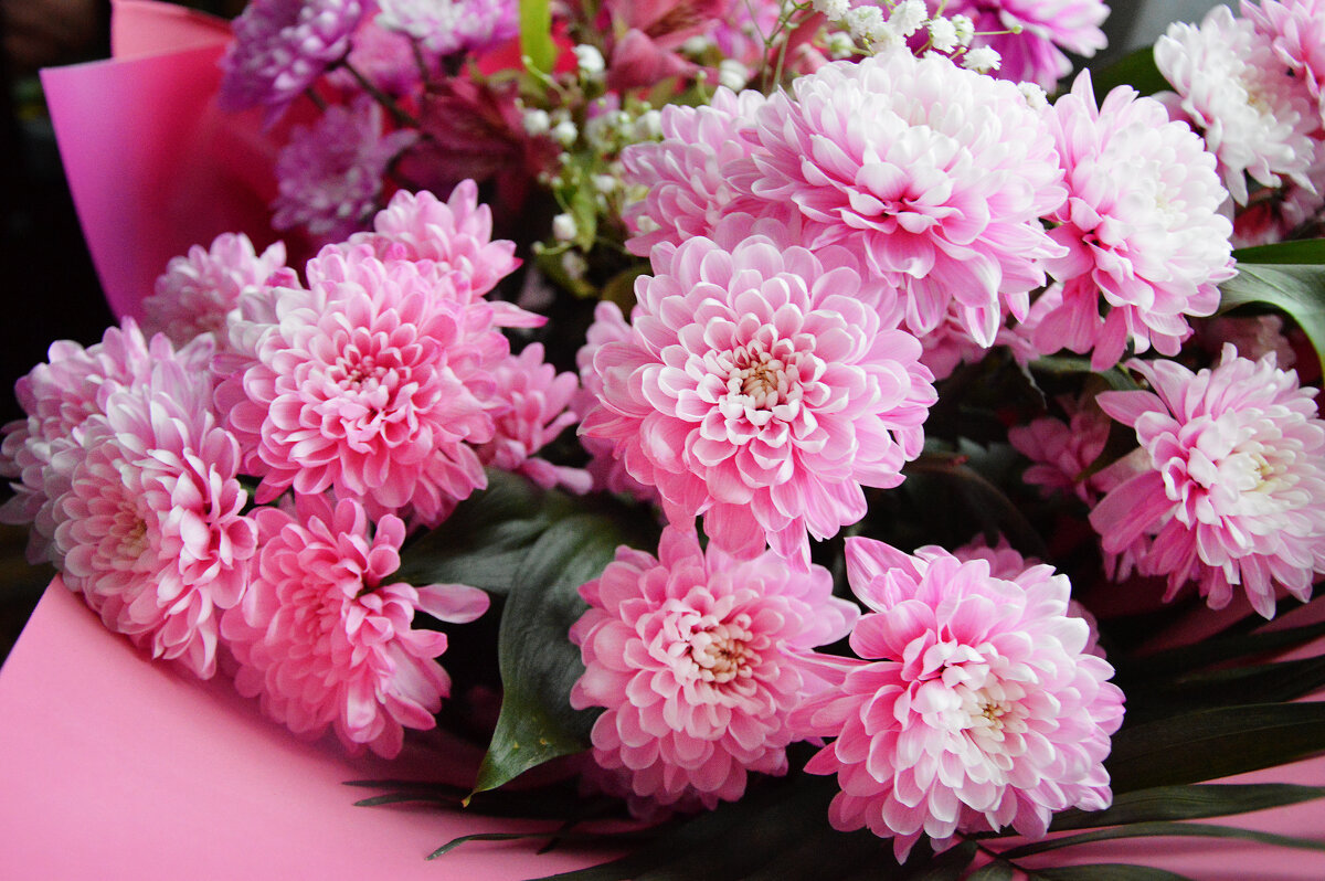 *** - Надежда Куркина 