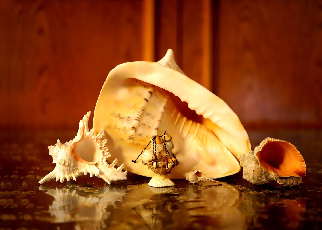 Натюрморт - Андрей Л. В.