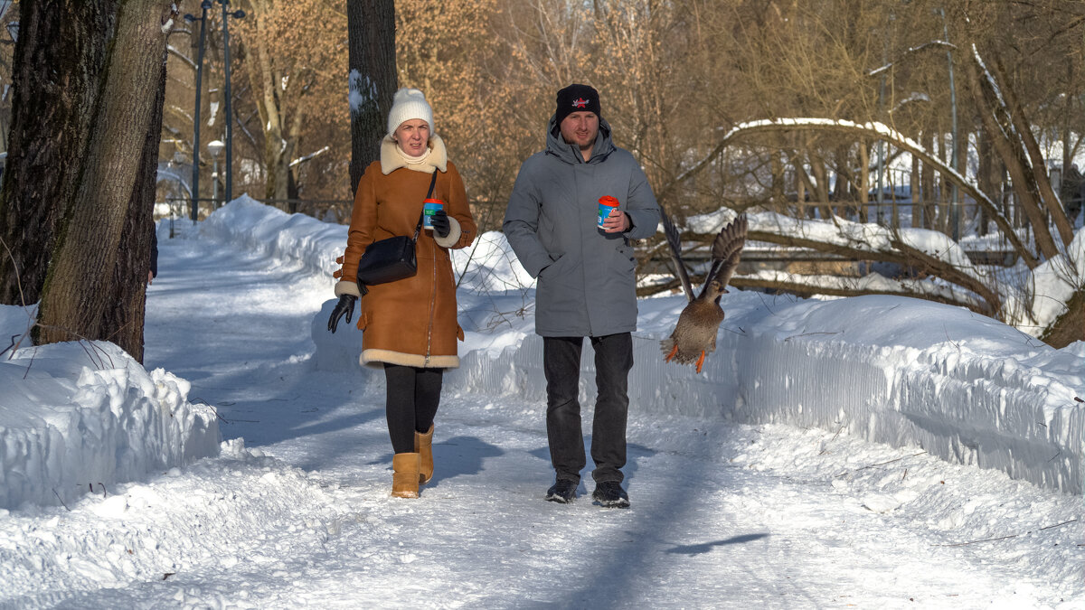 Прогулки в Зимнем Парке - юрий поляков