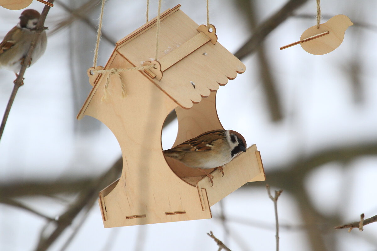 Воробьишки - Ninell Nikitina
