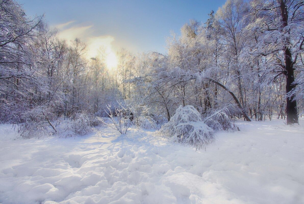 Зима,холода - Наталья Лакомова