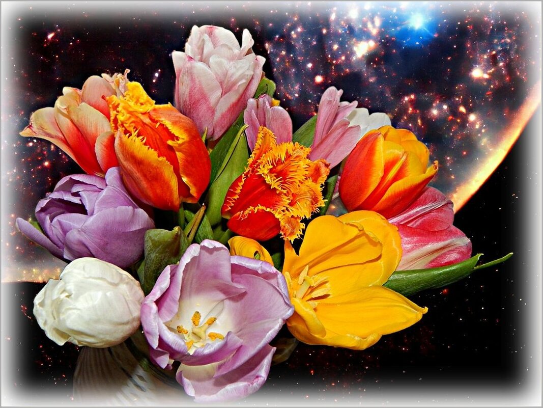 Цветы весны ... - Валентина Надсон