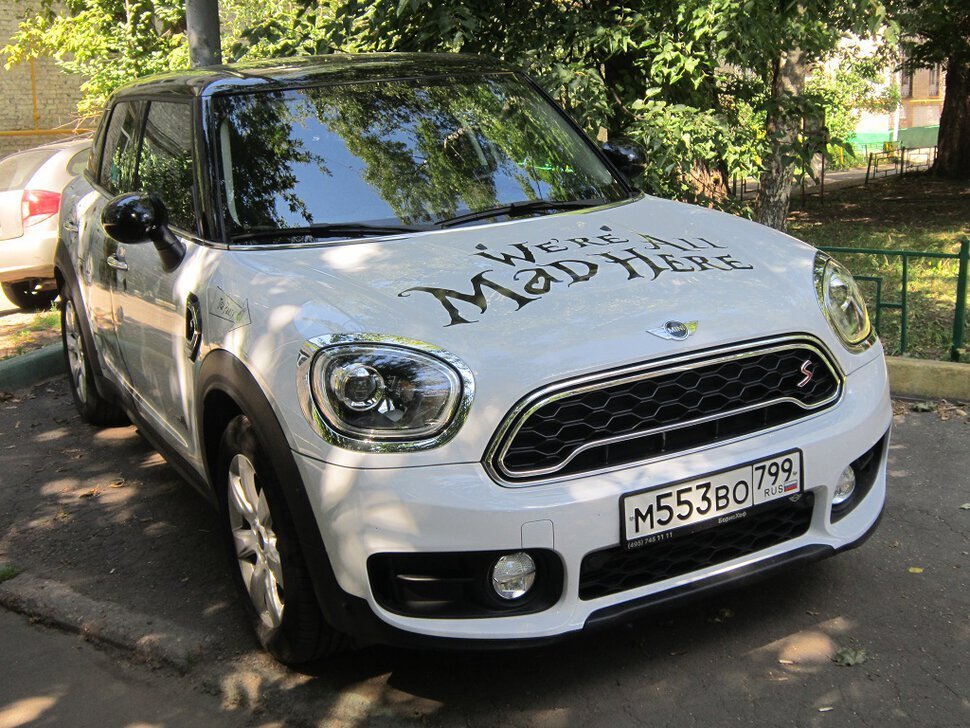 Мы все здесь безумны - Дмитрий Никитин