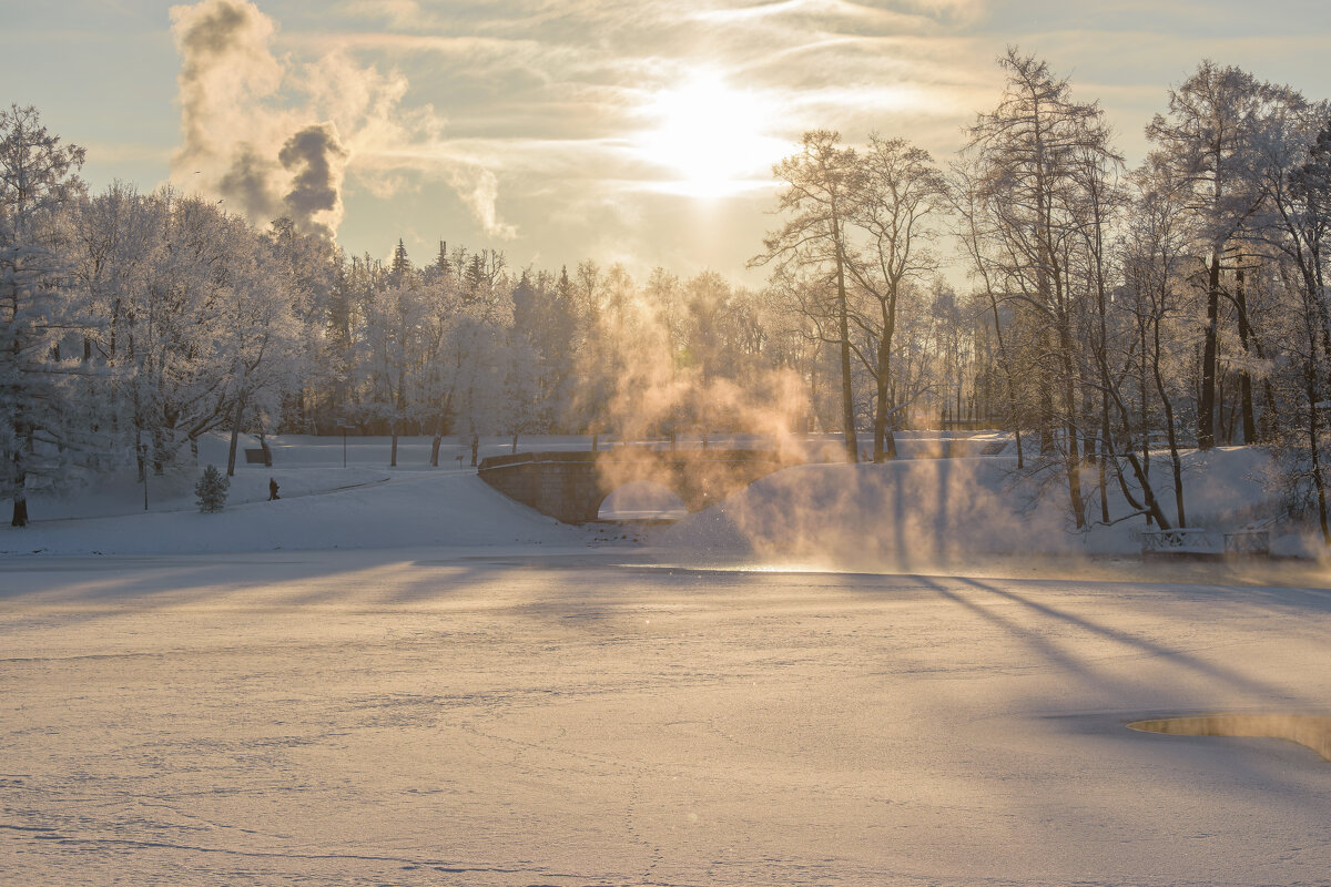 Морозный пейзаж в Дворцовом парке Гатчины - Дарья Меркулова Морозный пейзаж в Дворцовом парке Гатчины - Дарья Меркулова