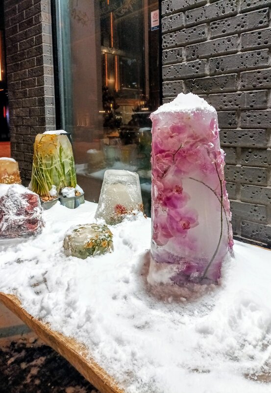 Вечерняя прогулка - Veera V Вечерняя прогулка - Veera V