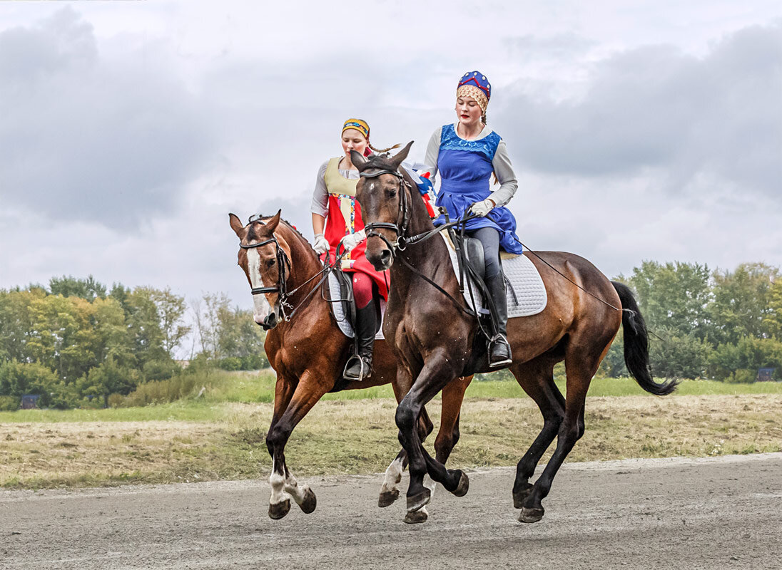 Выездка - SanSan 