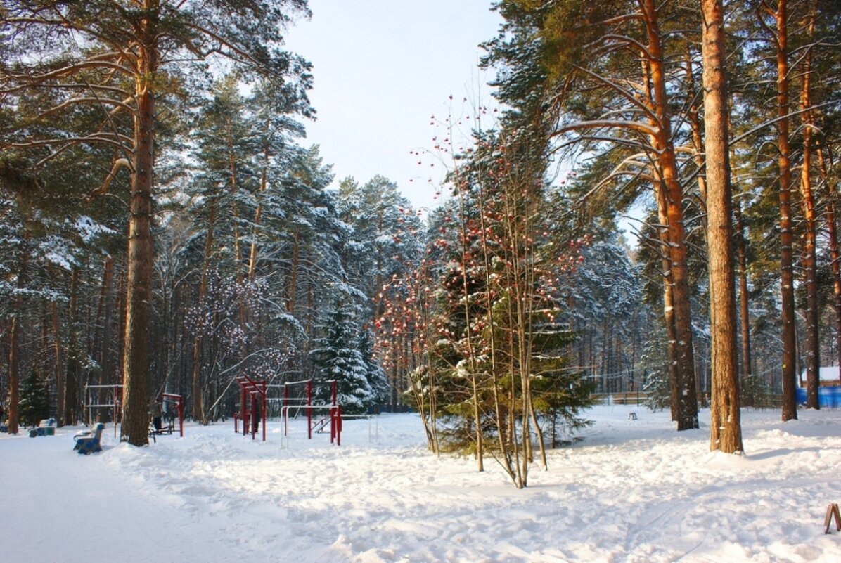 В городском парке - Галина Нестратова В городском парке - Галина Нестратова