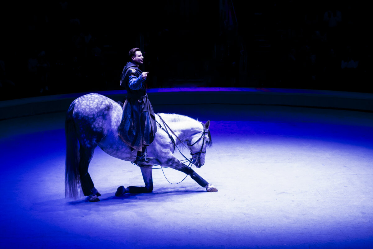 ЦИРК - Мой город Ижевск - Владимир Максимов