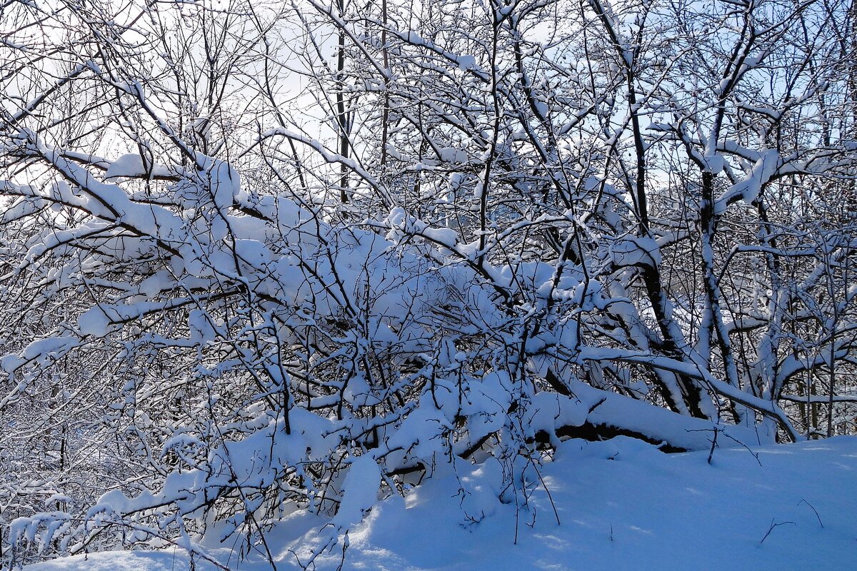Снег, снежок... - Рита Симонова