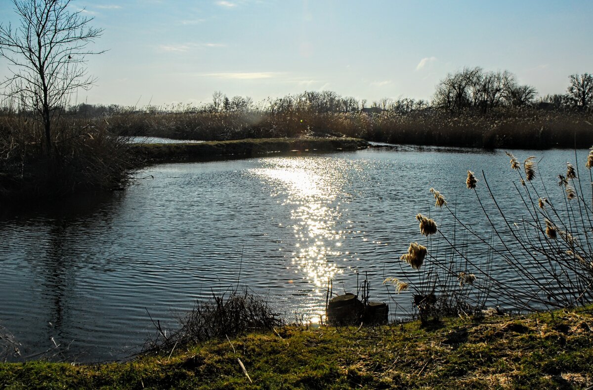 Февраль. Сегодня. - Владимир 