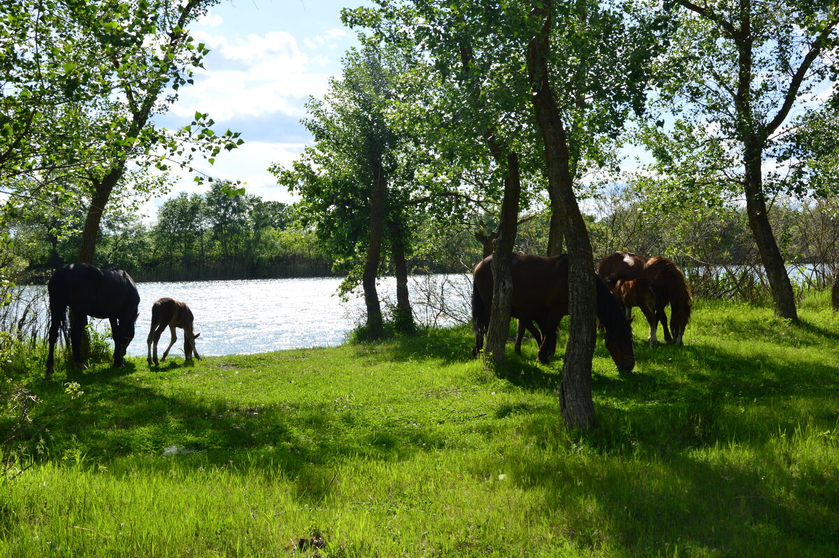 У реки. - Виктор 