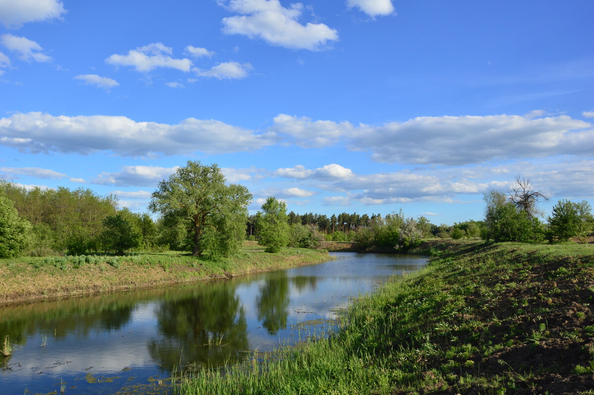 Донские виды. - Виктор 