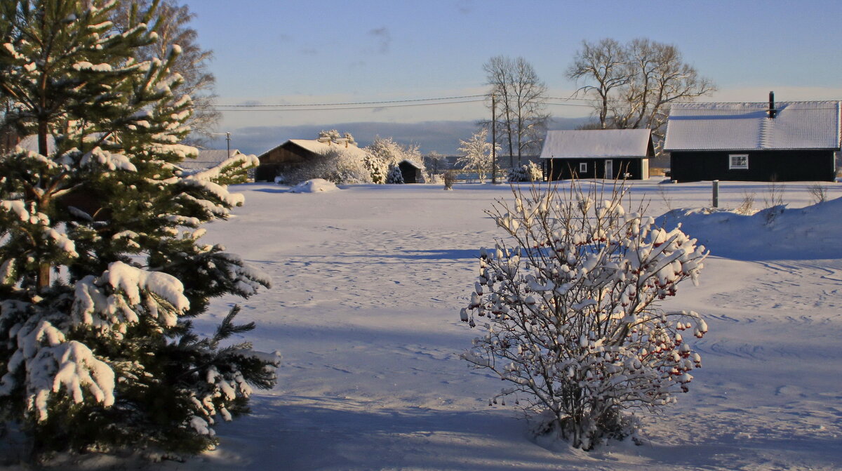 Зимнее ... - Татьян@ Ивановна