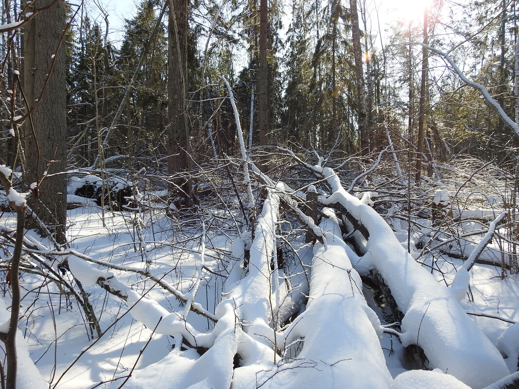 после бури. - ИННА ПОРОХОВА