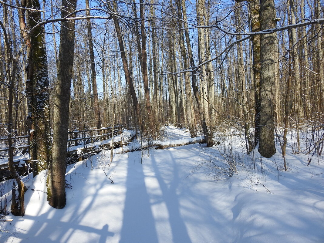 Кемерский национальный парк - ИННА ПОРОХОВА