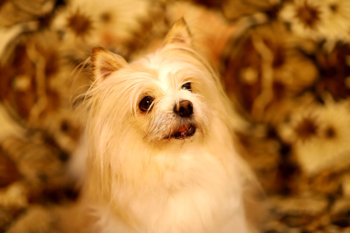 M - Андрей Л. В.