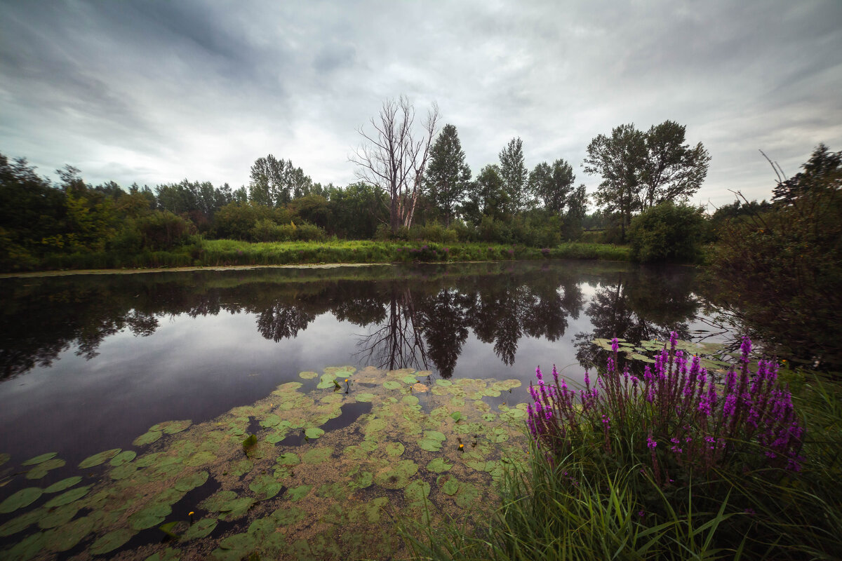 хмурое утро - Антон Лихач