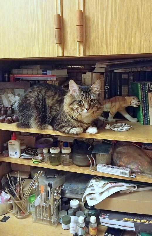 В мастерской художника - Елена 