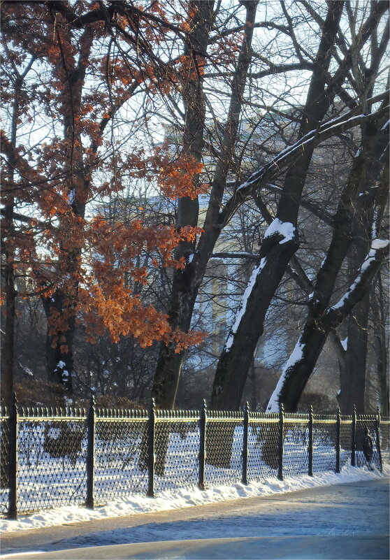 Катькин сад зимой - sv.kaschuk 