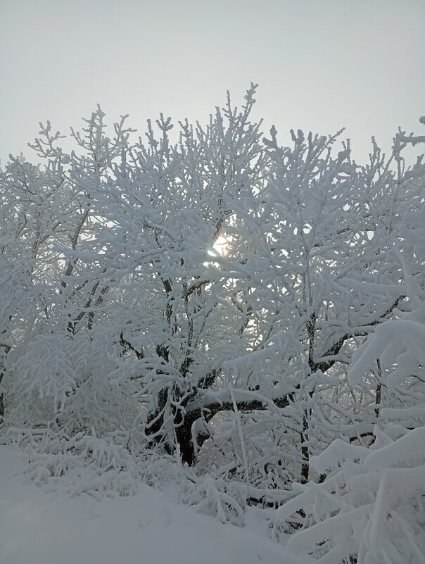 Последний день зимы - Екатерина Филипенко