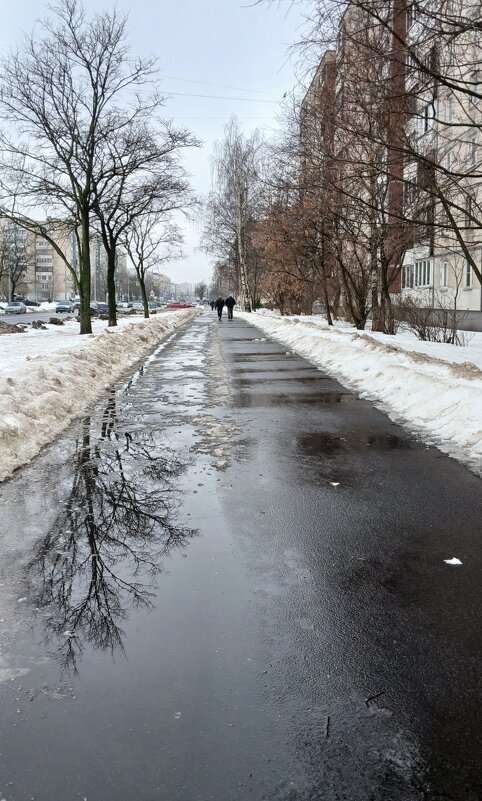 Последний день зииы - Наталья Герасимова Последний день зииы - Наталья Герасимова