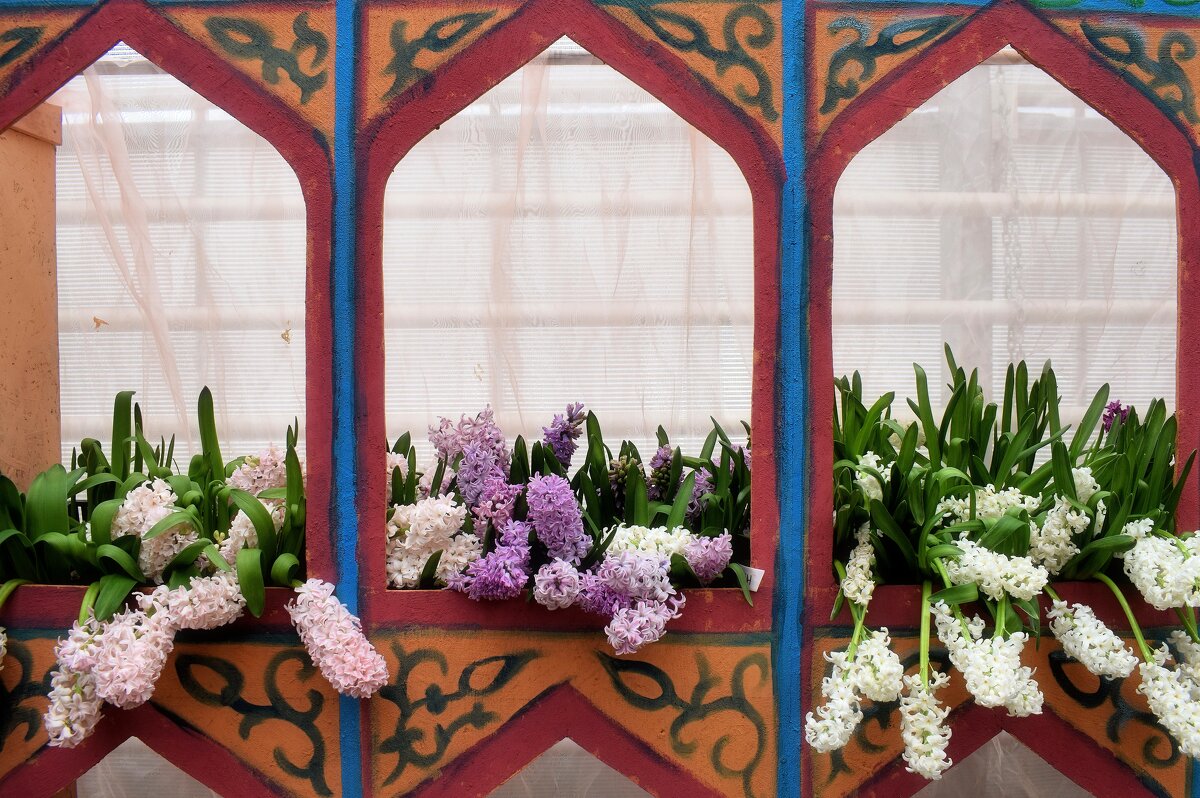 Весна в окно стучится, пришла её пора! - Татьяна Помогалова