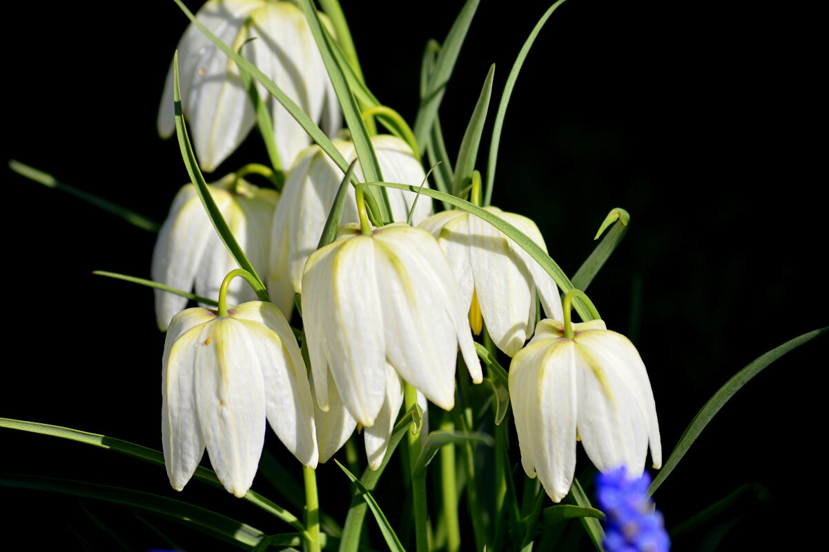 С началом календарной весны! - Татьяна Лютаева