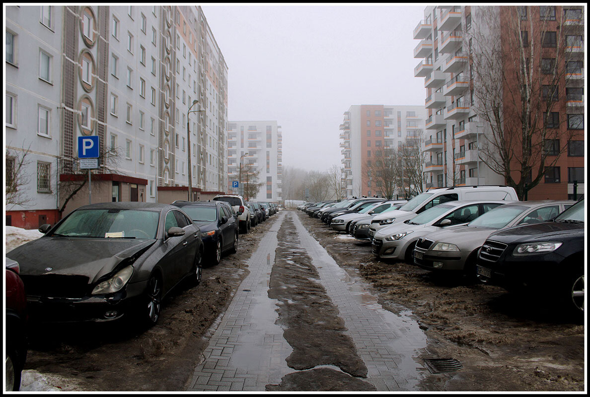 Зима уша - Aleksandr Gal