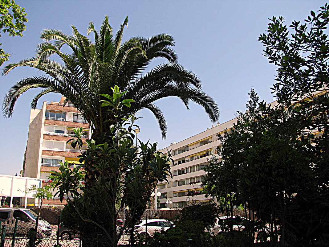 Барселона. - Владимир Драгунский Барселона. - Владимир Драгунский