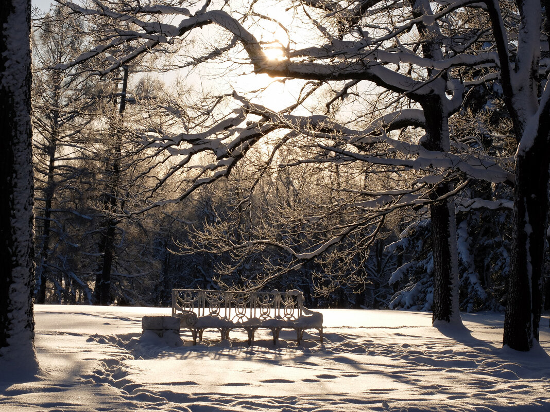 Зима... - tipchik 