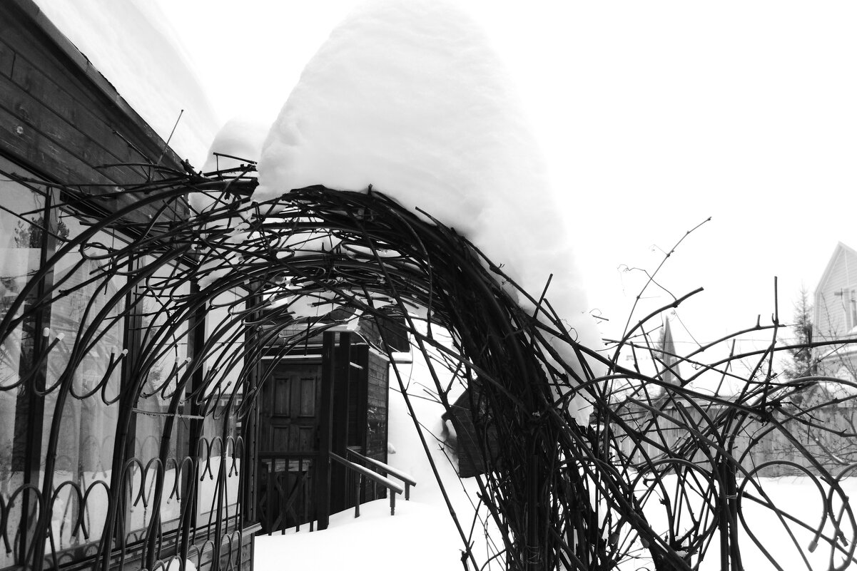 Мечты о ч/б Лейке 22. - Михаил Елочкин Мечты о ч/б Лейке 22. - Михаил Елочкин