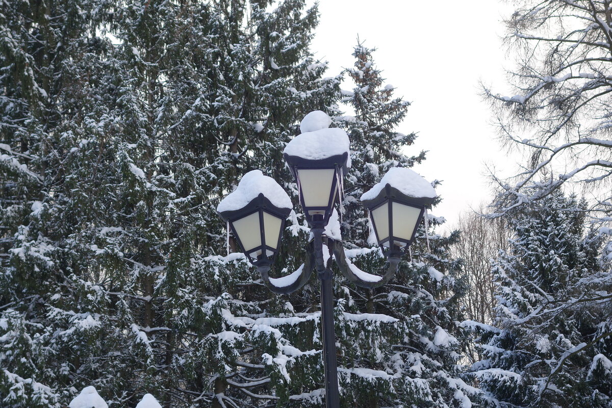 Зимние картинки - Рита Симонова