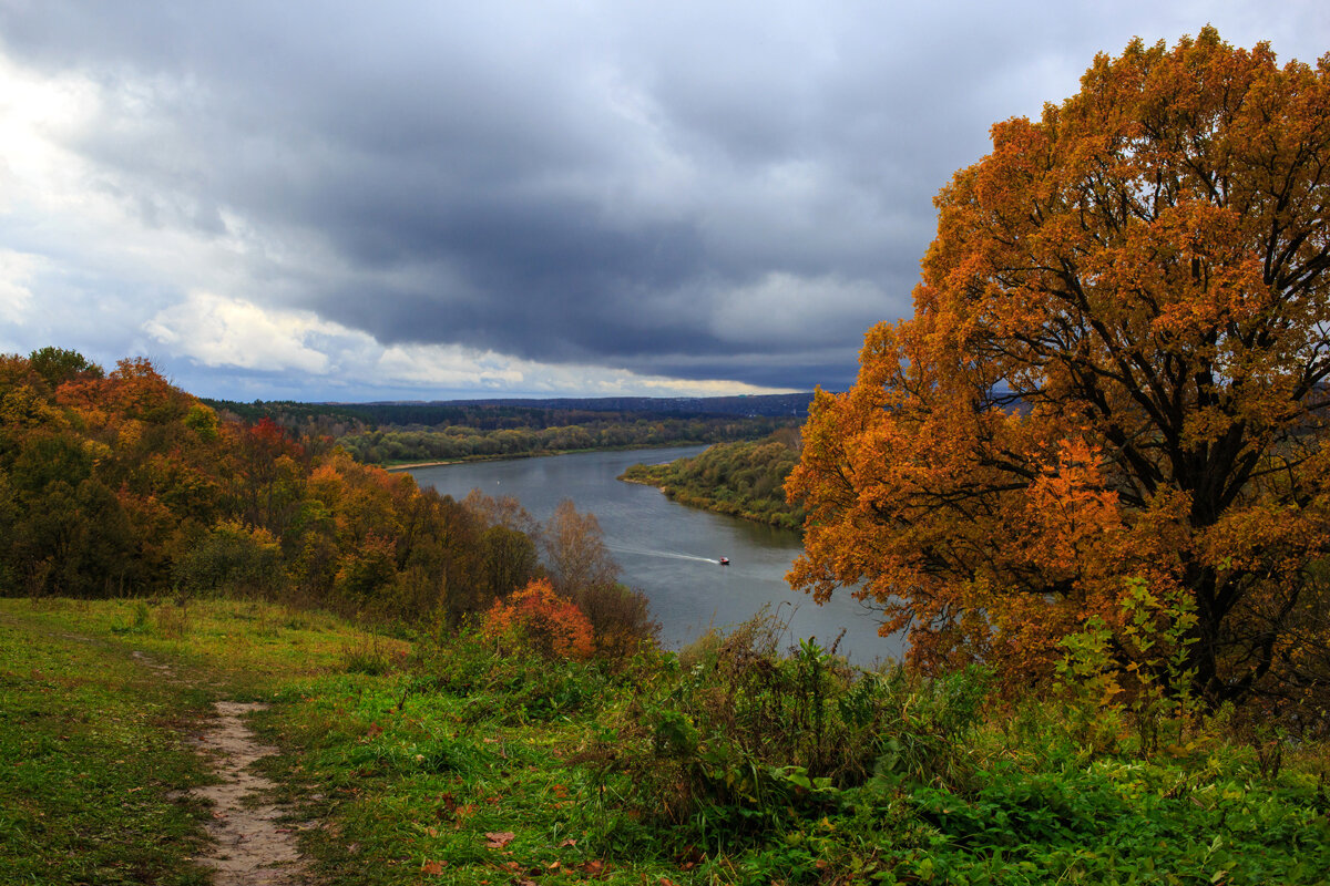 Перед грозой - Владимир Гришин